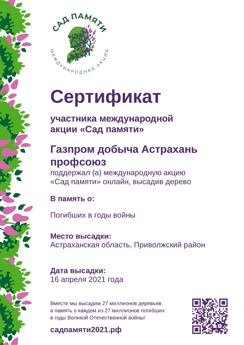 Сертификат участника