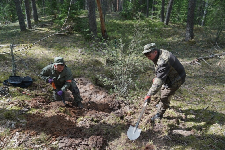 Во время раскопок в Себежском районе Псковской области