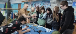 картинка