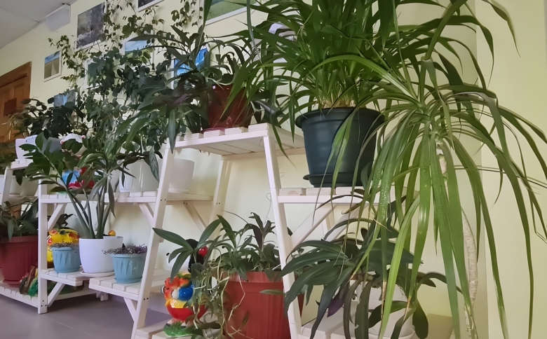 картинка