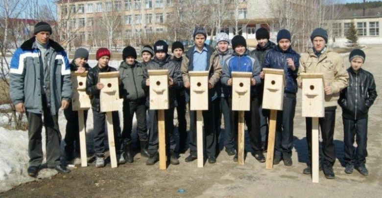 картинка