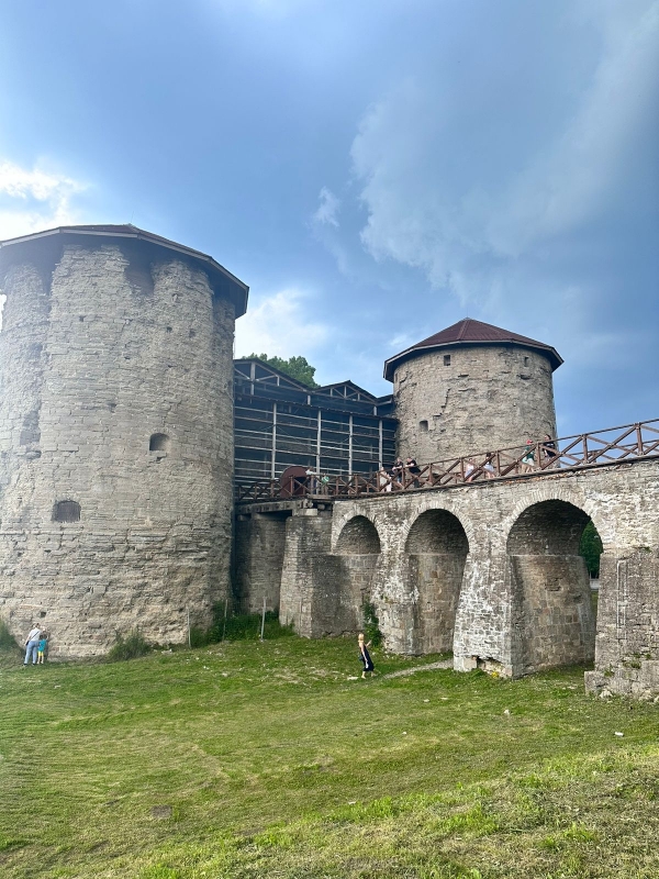 картинка