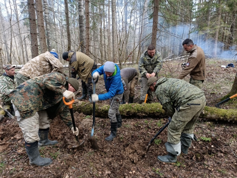 картинка